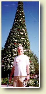 Photo of The Christmas tree at Epcot