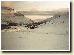 Bilde av Snødekt dal